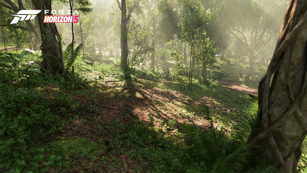 Trees, roots and other foliage in the jungle biome.
