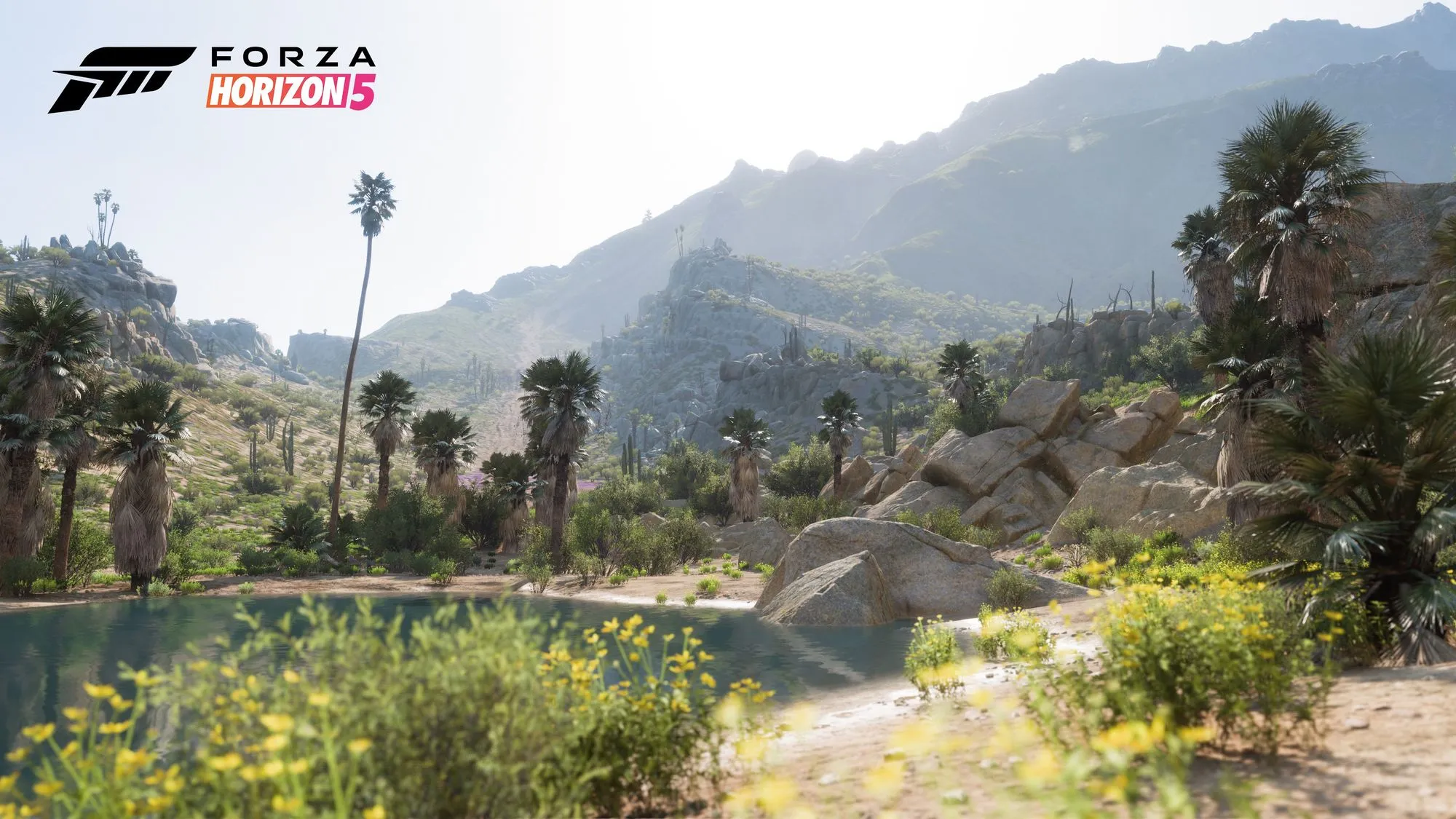 https://cdn.forza.net/strapi-uploads/assets/massive_FH_5_Biome_Living_Desert_02_16x9_WM_6028fb18fb.webp