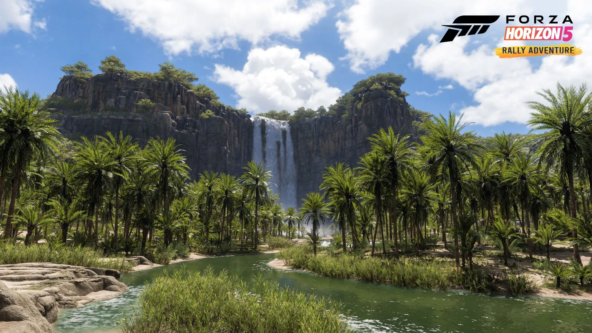 https://cdn.forza.net/strapi-uploads/assets/massive_FH_5_Rally_Adventure_Expansion_Biome_Palm_Forest_01_16x9_WM_8cd249f613.webp