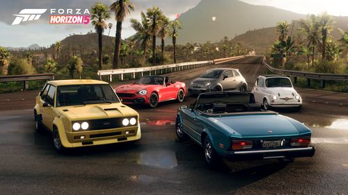 Five cars over a wet tarmac road in front of palm trees and other vegetation