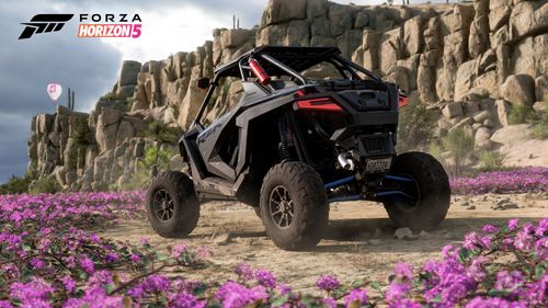 The grey-colored Polaris RZR Pro XP Ultimate parked by large canyon rocks and surrounded by pink flowers.